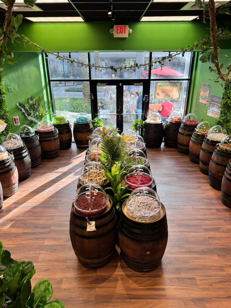 Yummy Jungle Miami 3
