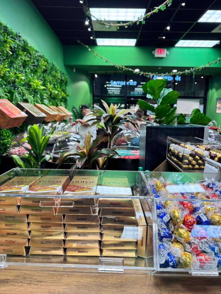 Yummy Jungle Miami 7